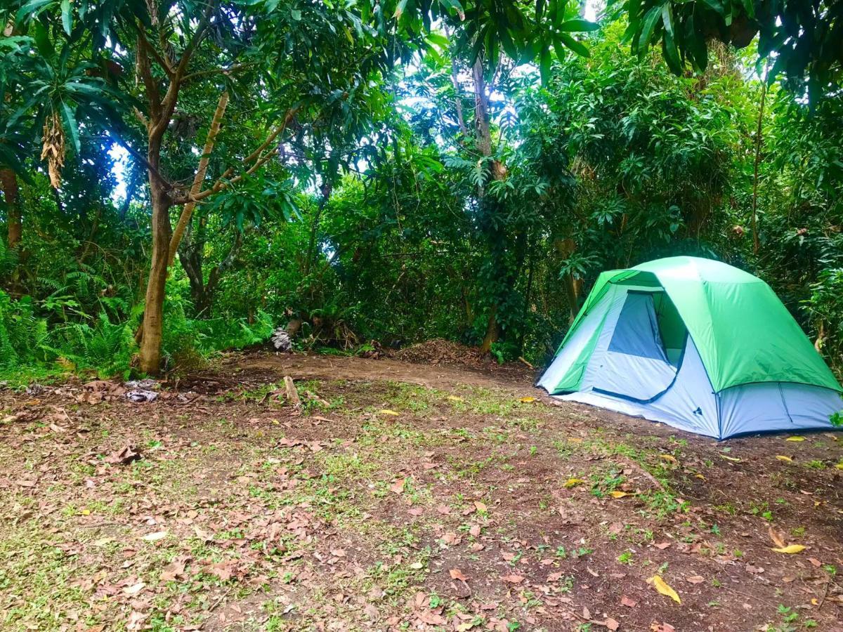 Jubilee Campsite Swim & Paint Las Piedras Ngoại thất bức ảnh