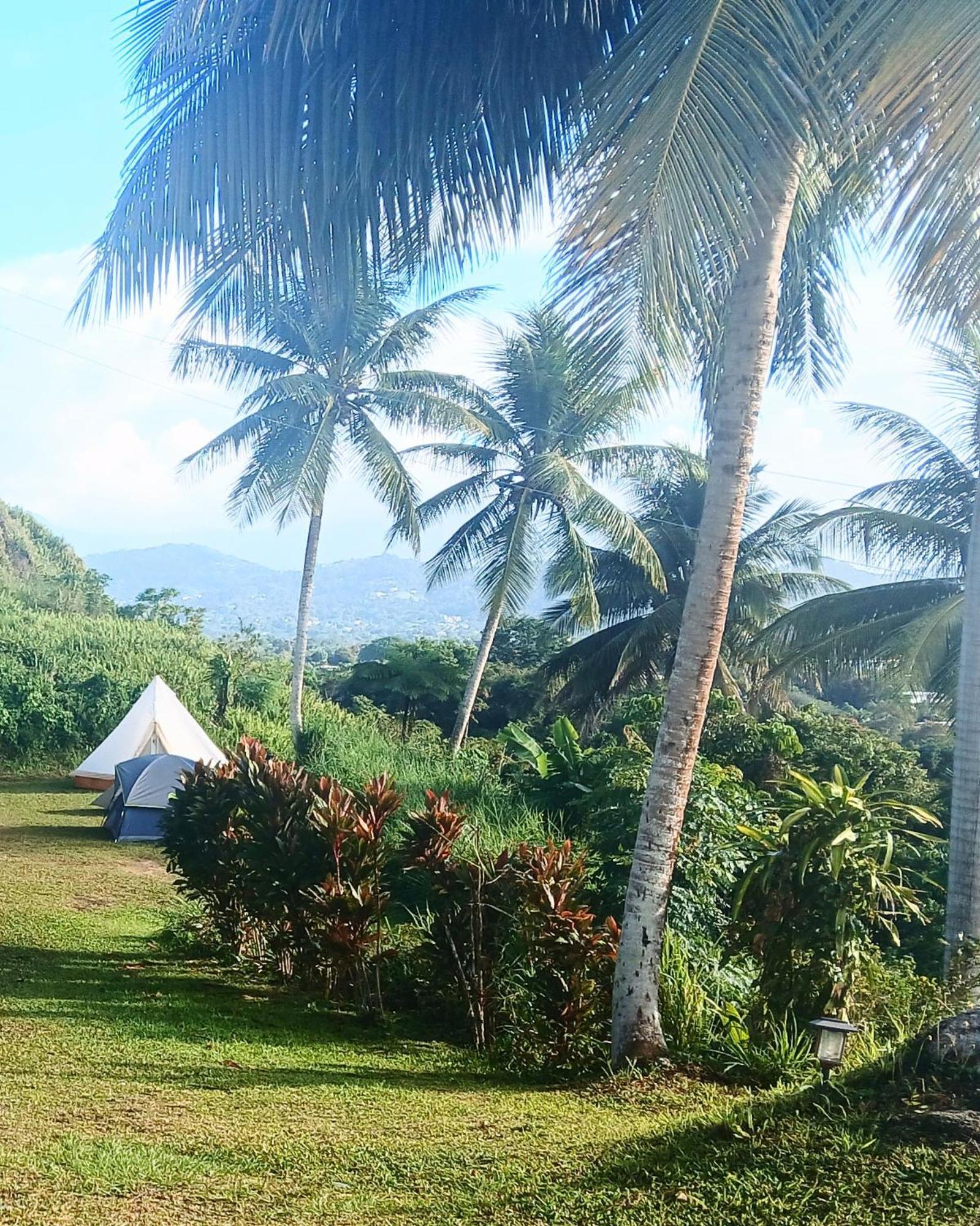 Jubilee Campsite Swim & Paint Las Piedras Ngoại thất bức ảnh
